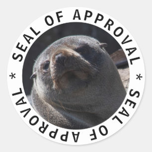 Sticker Rond Sceau d'approbation fermer la photo d'animal migno