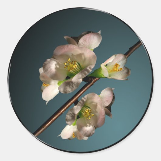 Sticker Rond Sceau de l'enveloppe de fleurs d'arbre (Devant)