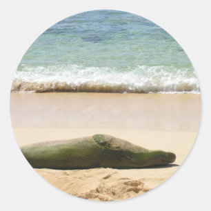 Sticker Rond Sceau de moine relaxant