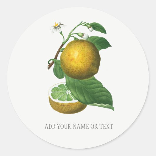 Sticker Rond SCEAU D'ENVELOPPE BOTANIQUE vintage AVEC CITRUS (Devant)