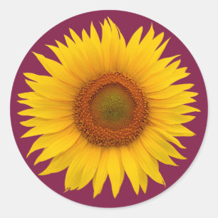 Sticker Rond Sceau d'enveloppe de fleurs de tournesol jaune bor