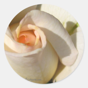 Sticker Rond Sceau d'enveloppe de Mariage de bourgeon rose