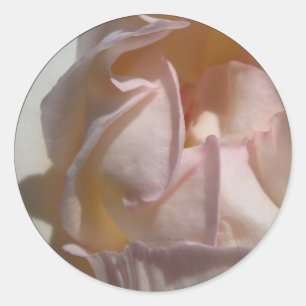 Sticker Rond Sceau d'enveloppe Rose Pétales Roses