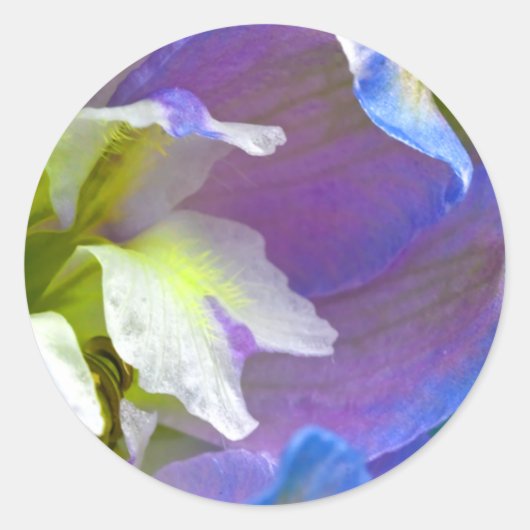 Sticker Rond Sceau Mariage Floral Bleu Et Violet (Devant)