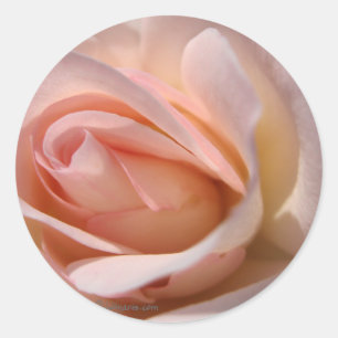 Sticker Rond Sceau rose Faire-part de mariage