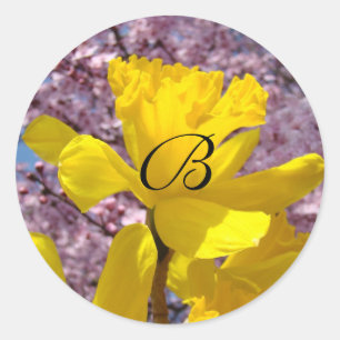 Sticker Rond Sceaux de monogramme Fleur de narcisse de printemp
