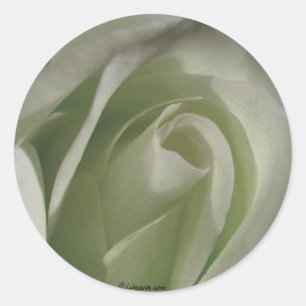 Sticker Rond Sceller Rose gris  Mariage Enveloppe