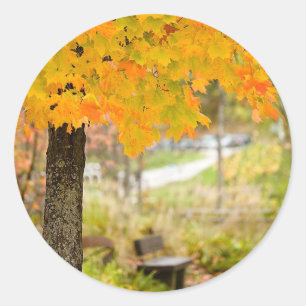 Sticker Rond Scène d'automne