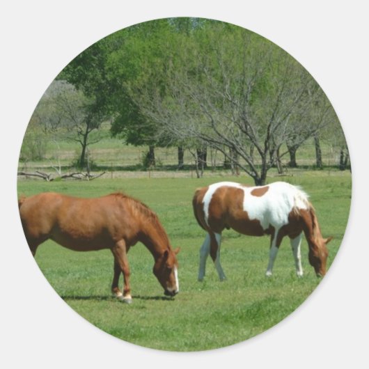 Sticker Rond Scène des Chevaux (Devant)