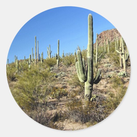 Sticker Rond Scène du désert de Sonoran 03 (Devant)