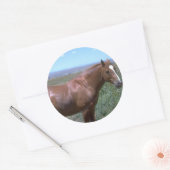 Sticker Rond Scène du pâturage du cheval (Enveloppe)