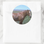 Sticker Rond Scène du pâturage du cheval (Sac)