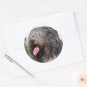 Sticker Rond schapendoes (Enveloppe)