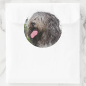 Sticker Rond schapendoes (Sac)