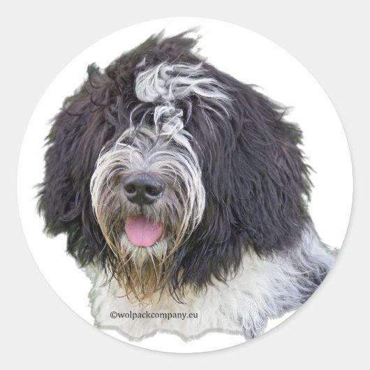 Sticker Rond schapendoes (Devant)