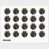 Sticker Rond Schipperke (Feuille)