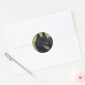 Sticker Rond Schipperke (Enveloppe)