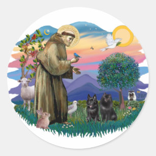 Sticker Rond Schipperke (deux)