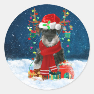 Sticker Rond Schnauzer Chien en neige avec cadeaux de Noël
