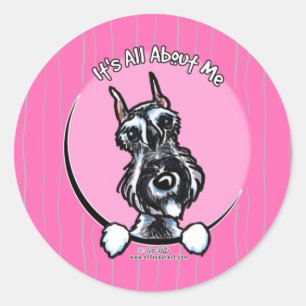 Sticker Rond Schnauzer IAAM de poivre de sel