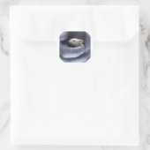 Sticker Rond Science (Sac)