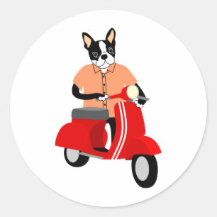 Sticker Rond Scooter Boston Terrier