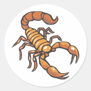 Sticker Rond Scorpion