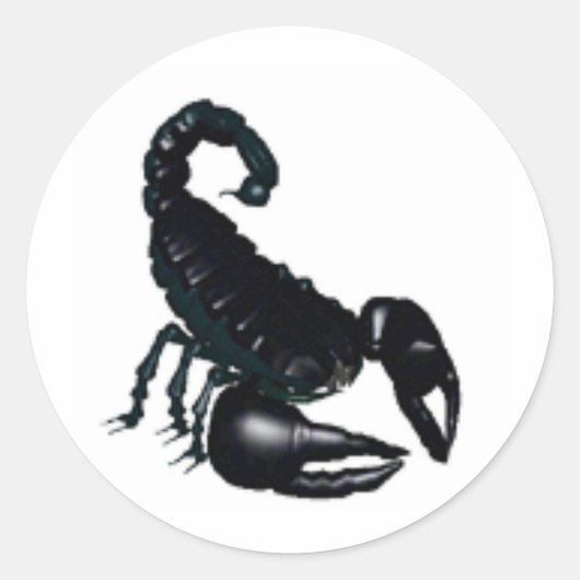 Sticker Rond Scorpion noir (Devant)