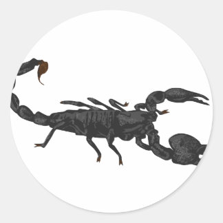 Sticker Rond Scorpion noir impérial