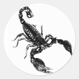 Sticker Rond Scorpion noir sur l'autocollant blanc
