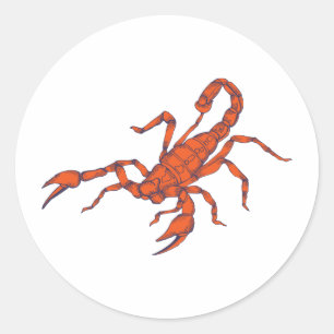 Sticker Rond Scorpion ~ Scorpions d'insectes