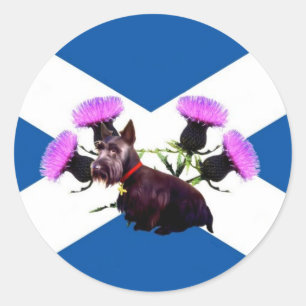 Sticker Rond Scotland's Scottish Terrier