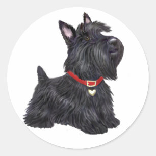 Sticker Rond Scottish Terrier (A) - (par JBF)