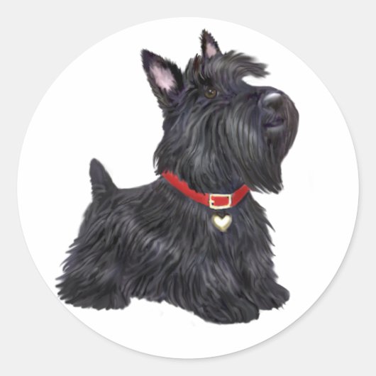 Sticker Rond Scottish Terrier (A) - (par JBF) (Devant)