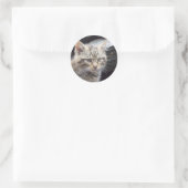 Sticker Rond Scottish Wildcat (Sac)