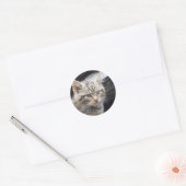 Sticker Rond Scottish Wildcat (Enveloppe)