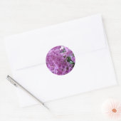 Sticker Rond Sdlilac (Enveloppe)