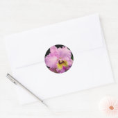 Sticker Rond Sdorquidea (Enveloppe)