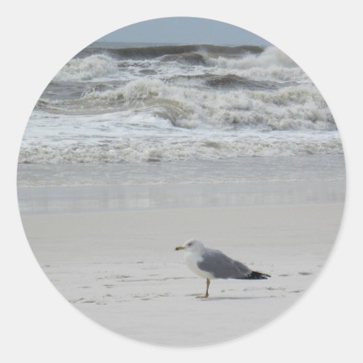 Sticker Rond Seagull on the Beach (Devant)