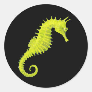 Sticker Rond Seahorse