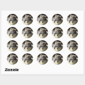 Sticker Rond Seau Plein De Joie Sweet Grey Kitten (Feuille)