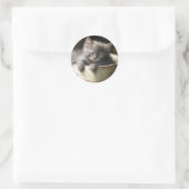 Sticker Rond Seau Plein De Joie Sweet Grey Kitten (Sac)