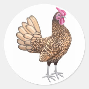 Sticker Rond Sebright Bantam Rooster