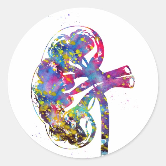 Sticker Rond Section du rein (Devant)