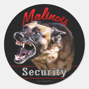 Sticker Rond Sécurité de Malinois