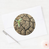 Sticker Rond Seedling (Enveloppe)