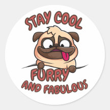 Séjournez Cool furieux et fabuleux, Chien Cool, Ch