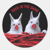 Sticker Rond Semences dans le sable (Devant)