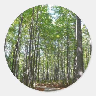 Sticker Rond Sentier boisé du centenaire II Ellicott City Maryl