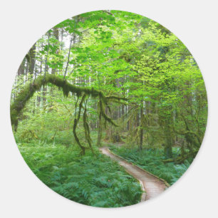 Sticker Rond Sentier des Forêts anciennes du Parc national Olym